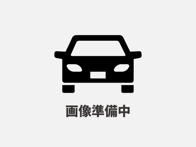 アルファード3.0 V MS