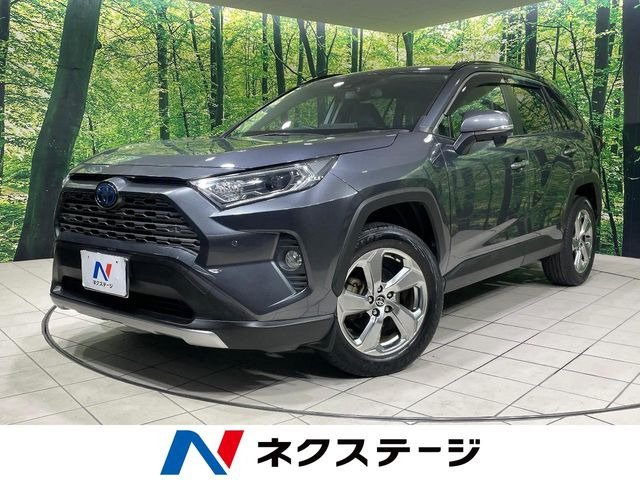RAV42.5 ハイブリッド G E-Four 4WD