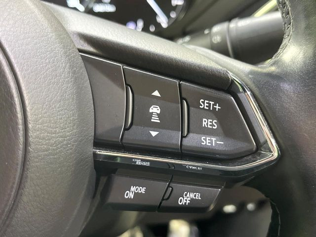 �y�}�c�_�E���[�_�[�N���[�Y�R���g���[���z�������H�ł̒��������s���y��!�����ő��x��ۂN���[�Y�R���g���[�����A�Փˌy���V�X�e���ƘA�g���A�O���̎ԗ������m���ĎԊԂ�ۂ悤�ɑ��x���߂��Ă���܂�!!