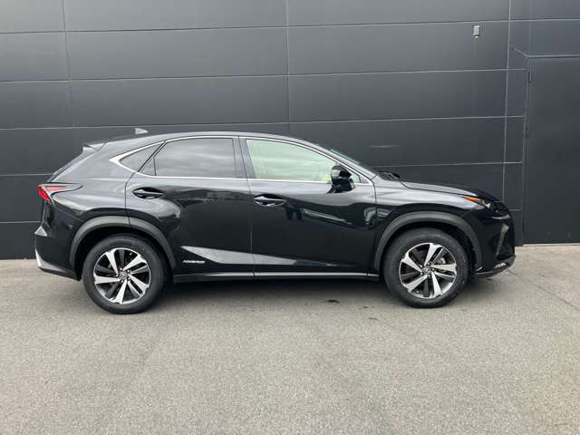 NX300h バージョンL