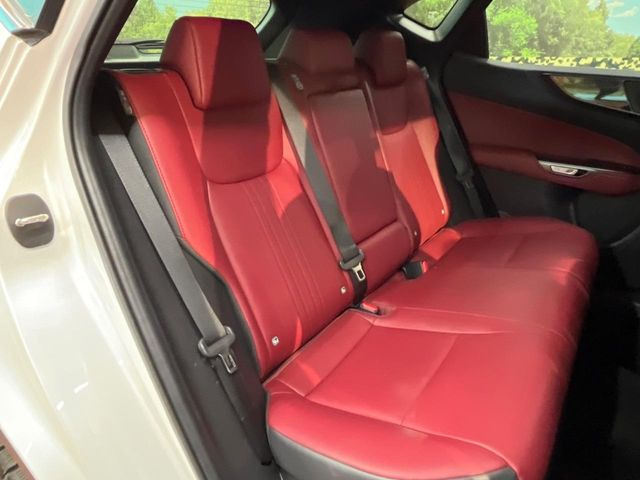 �㕔���Ȃ��C�ɂȂ�悤�ȃL�Y�E�����ւ��蓙�A�傫�ȃ_���[�W�͂Ȃ��A�ǍD�ȏ�Ԃł��B