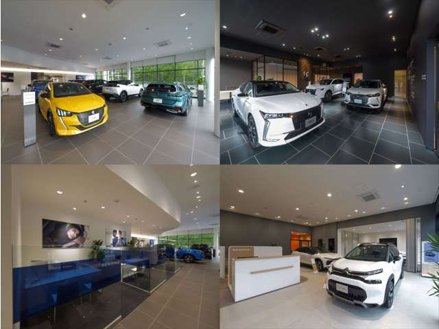 C3マックス ハイブリッド