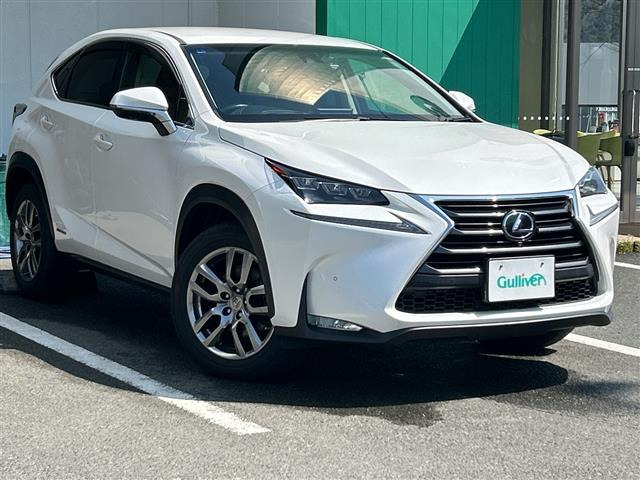 NX300h Iパッケージ