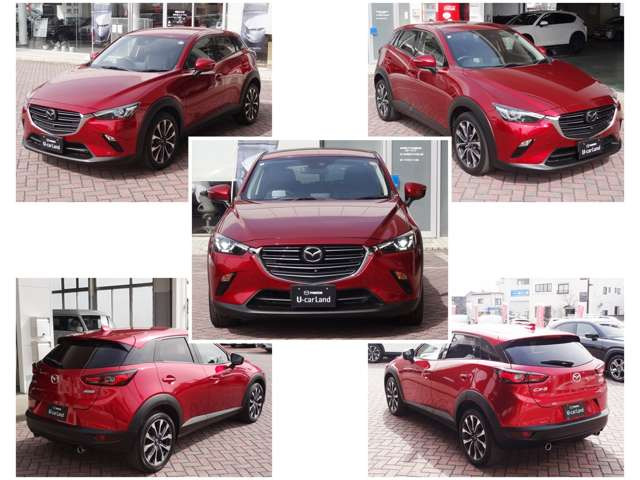 CX-31.8 XD プロアクティブ