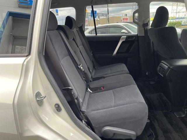 �㕔���Ȃ��C�ɂȂ�悤�ȃL�Y�E�����ւ��蓙�A�傫�ȃ_���[�W�͂Ȃ��A�ǍD�ȏ�Ԃł��B