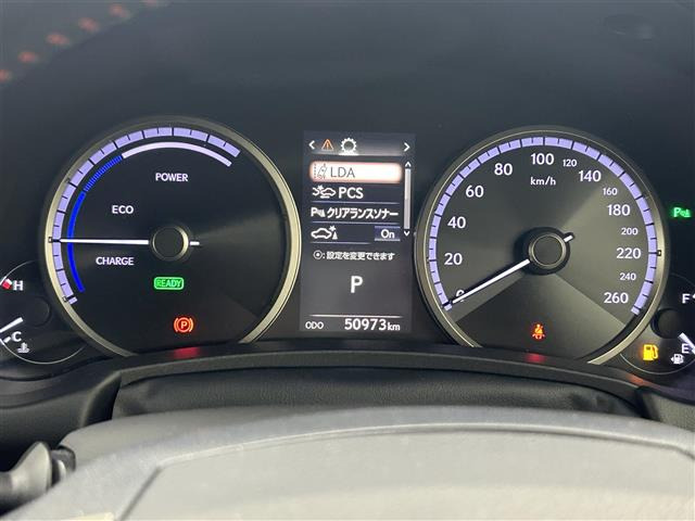 NX300h Fスポーツ