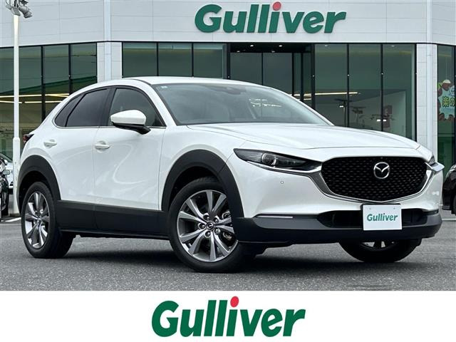 CX-301.8 XD Lパッケージ