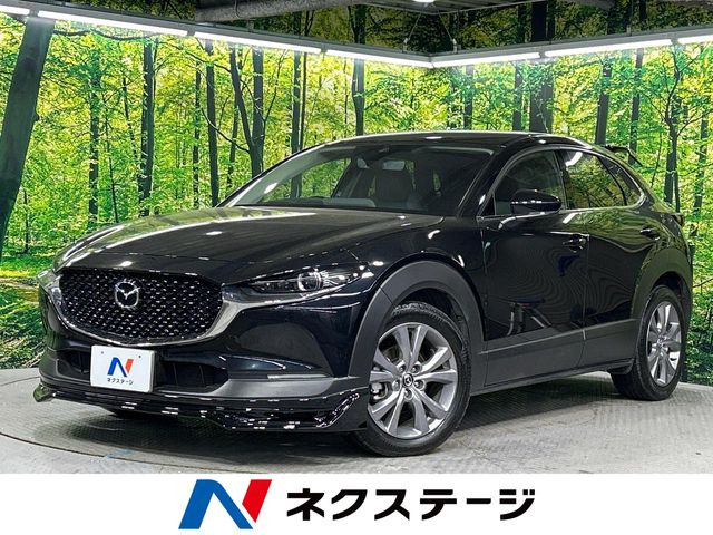 CX-30（マツダ）2.0 20S プロアクティブ ツーリングセレクション 中古車画像