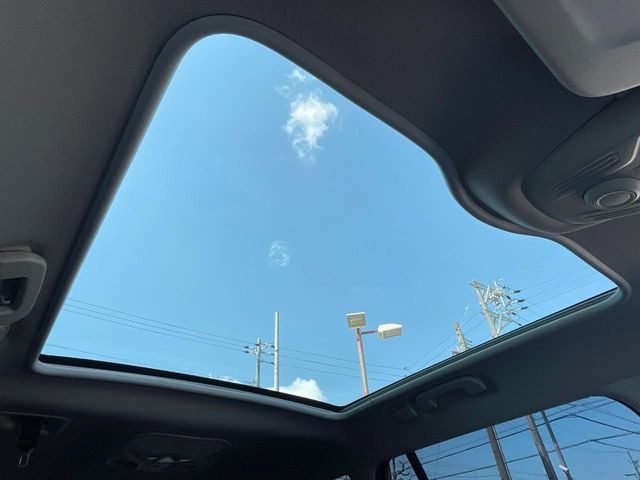 ���p�m���~�b�N�K���X���[�t:�唗�͂̃p�m���}���[�t�́A�㕔���Ȃɂ܂ő����Ă���A�J���I�ȋ�Ԃ����y���݂��������܂��B