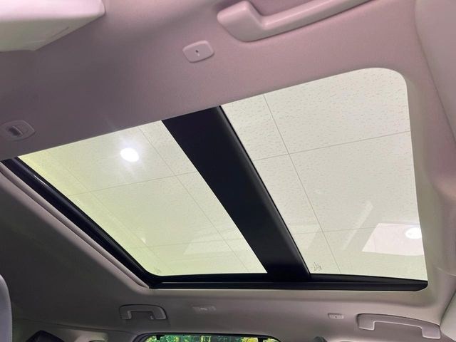 �y�T�����[�t�z�J���������Ղ�̊󏭑����A�T�����[�t����������Ă��܂�!�ԓ��ɖ�����������ꂽ��i�F���y���ވȊO�ɂ��A�ԓ��̋�C���ȒP�Ɋ��C�ł��ĉ��K�ł�!