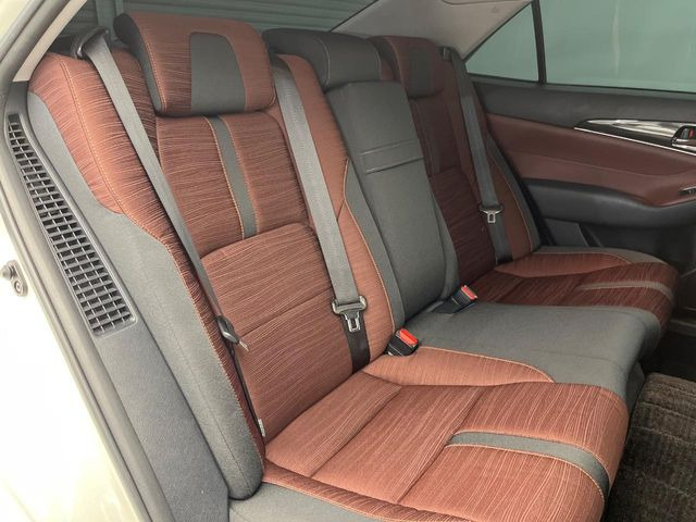 �㕔���Ȃ��C�ɂȂ�悤�ȃL�Y�E�����ւ��蓙�A�傫�ȃ_���[�W�͂Ȃ��A�ǍD�ȏ�Ԃł��B