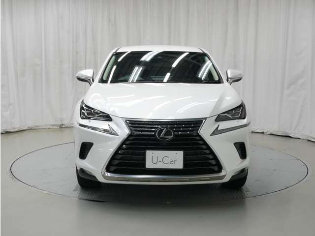 NX300 バージョンL 4WD