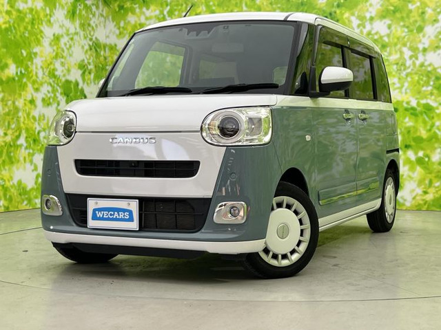 ムーヴキャンバスストライプス G