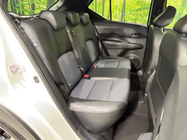 �㕔���Ȃ��C�ɂȂ�悤�ȃL�Y�E�����ւ��蓙�A�傫�ȃ_���[�W�͂Ȃ��A�ǍD�ȏ�Ԃł��B