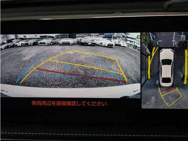 360�x�S���̓J�����p�m���~�b�N�r���[���j�^�[