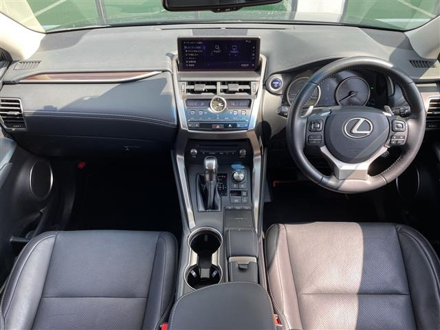 NX300h バージョンL