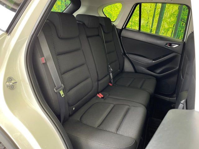 �㕔���Ȃ��C�ɂȂ�悤�ȃL�Y�E�����ւ��蓙�A�傫�ȃ_���[�W�͂Ȃ��A�ǍD�ȏ�Ԃł��B