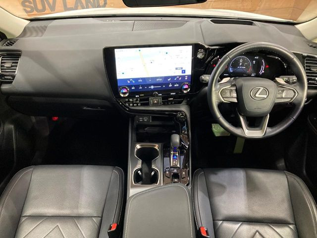 NX250 バージョンL