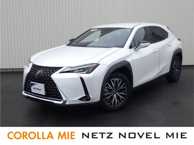 UX250h バージョンC