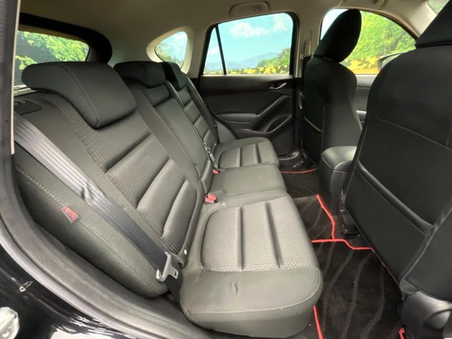 �㕔���Ȃ��C�ɂȂ�悤�ȃL�Y�E�����ւ��蓙�A�傫�ȃ_���[�W�͂Ȃ��A�ǍD�ȏ�Ԃł��B