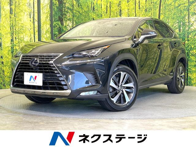NX300h Iパッケージ