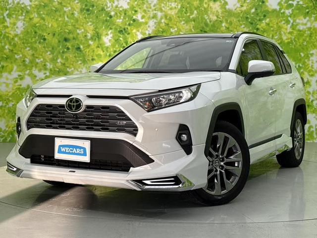 RAV42.0 G Zパッケージ 4WD