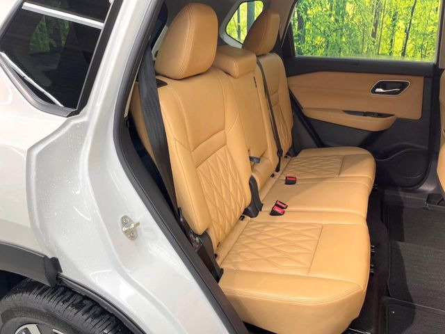 �㕔���Ȃ��C�ɂȂ�悤�ȃL�Y�E�����ւ��蓙�A�傫�ȃ_���[�W�͂Ȃ��A�ǍD�ȏ�Ԃł��B