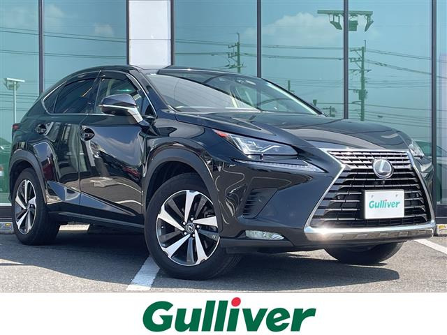 NX300h バージョンL