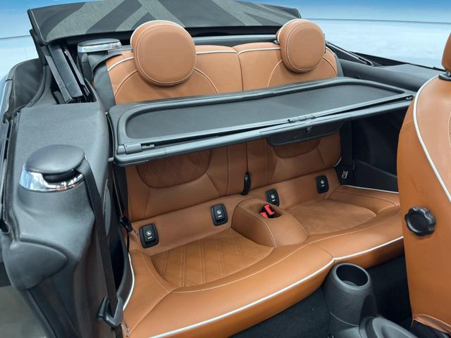 ���㕔���Ȃ��C�ɂȂ�悤�ȃL�Y�E�����ւ��蓙�A�傫�ȃ_���[�W�͂Ȃ��A�ǍD�ȏ�Ԃł��B