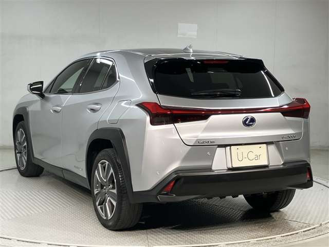 UX300e バージョンC