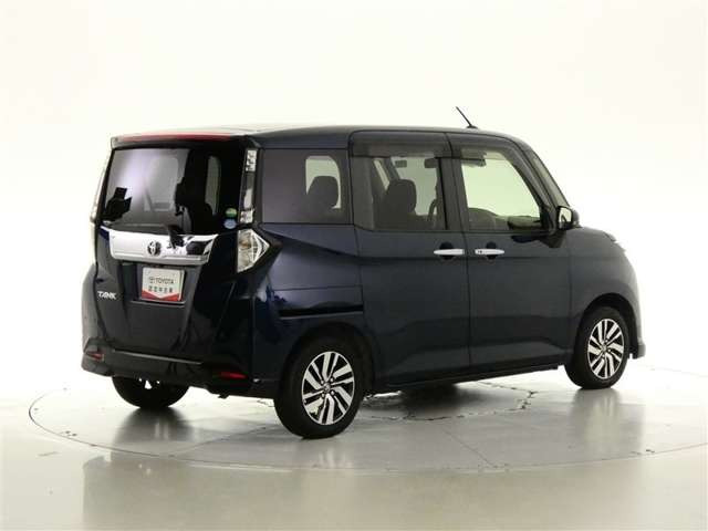 タンク1.0 カスタム G