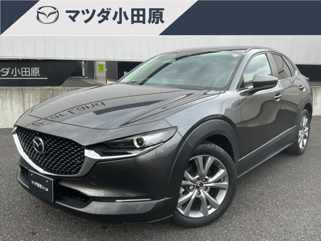 CX-302.0 20S