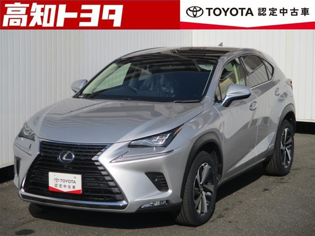 NX300h バージョンL