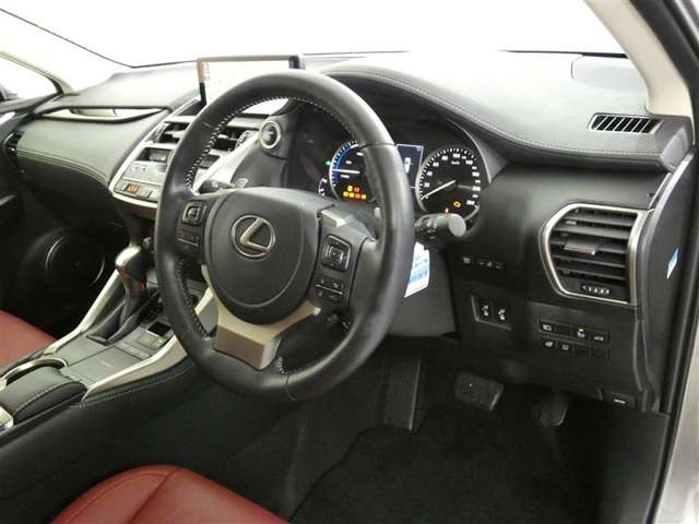 NX300h バージョンL