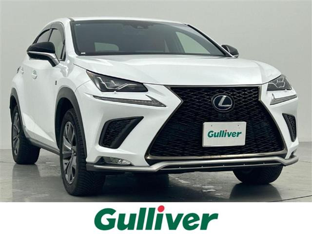 NX300h Fスポーツ