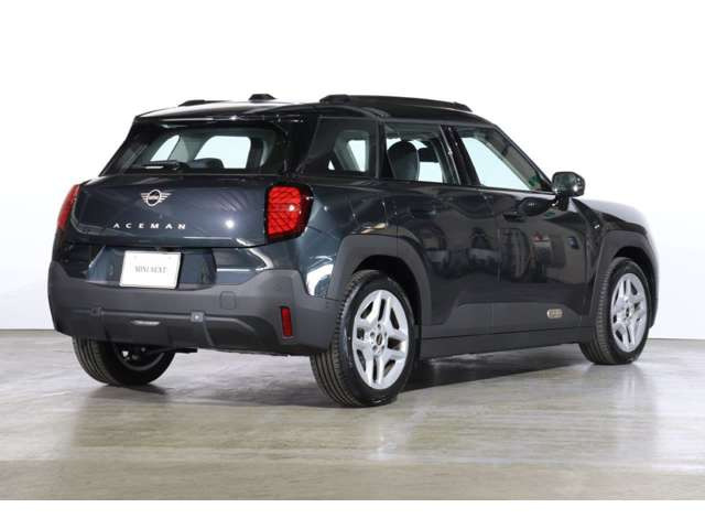 ミニエースマンE