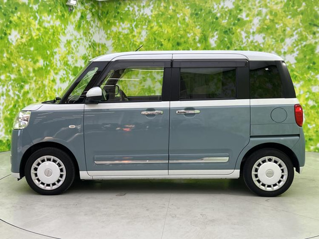 ムーヴキャンバスストライプス G