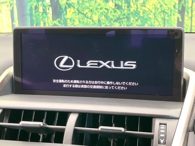 NX300h Iパッケージ