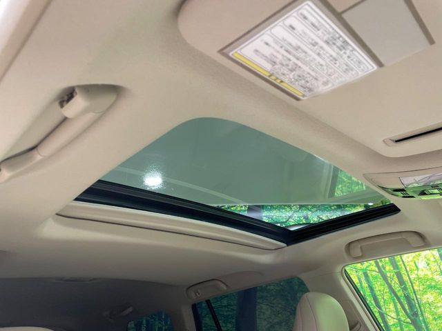 �y�T�����[�t�z�J���������Ղ�̊󏭑����A�T�����[�t����������Ă��܂�!�ԓ��ɖ�����������ꂽ��i�F���y���ވȊO�ɂ��A�ԓ��̋�C���ȒP�Ɋ��C�ł��ĉ��K�ł�!