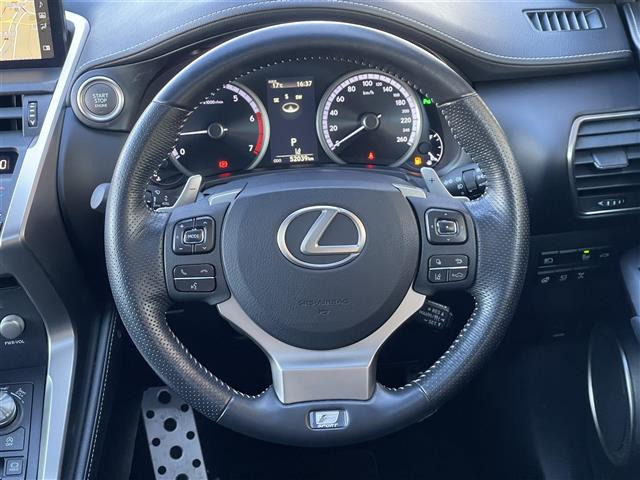 NX300 Fスポーツ 4WD