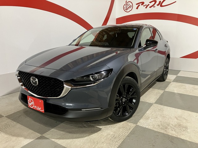 CX-30