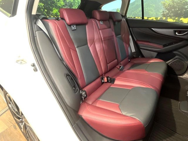 �㕔���Ȃ��C�ɂȂ�悤�ȃL�Y�E�����ւ��蓙�A�傫�ȃ_���[�W�͂Ȃ��A�ǍD�ȏ�Ԃł��B