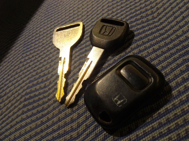 アクティバンSDX