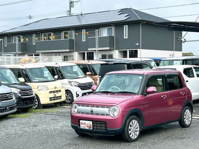 �y39.8���X�J�[�Y�̎��q���������������A���ɂ��肪�Ƃ��������܂��B���������S�s���c1186-7TEL:0942-73-6060�܂ł��⍇����������