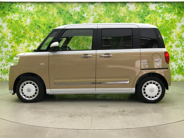 ムーヴキャンバスストライプス G