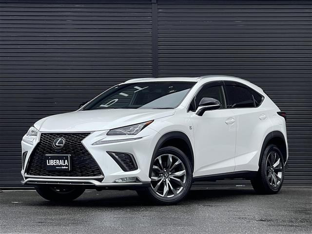 NX300 Fスポーツ 4WD