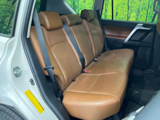 �㕔���Ȃ��C�ɂȂ�悤�ȃL�Y�E�����ւ��蓙�A�傫�ȃ_���[�W�͂Ȃ��A�ǍD�ȏ�Ԃł��B