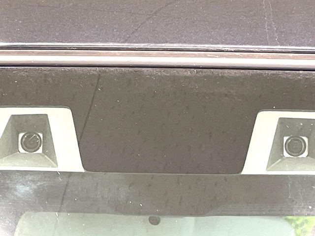 ハスラータフワイルド