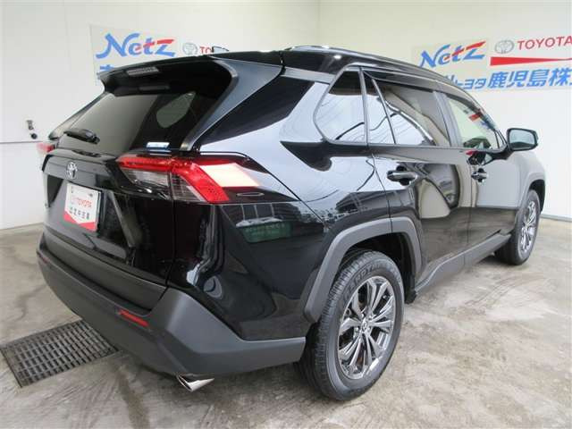 RAV42.0 X