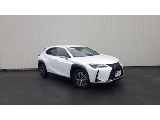 UX250h バージョンC